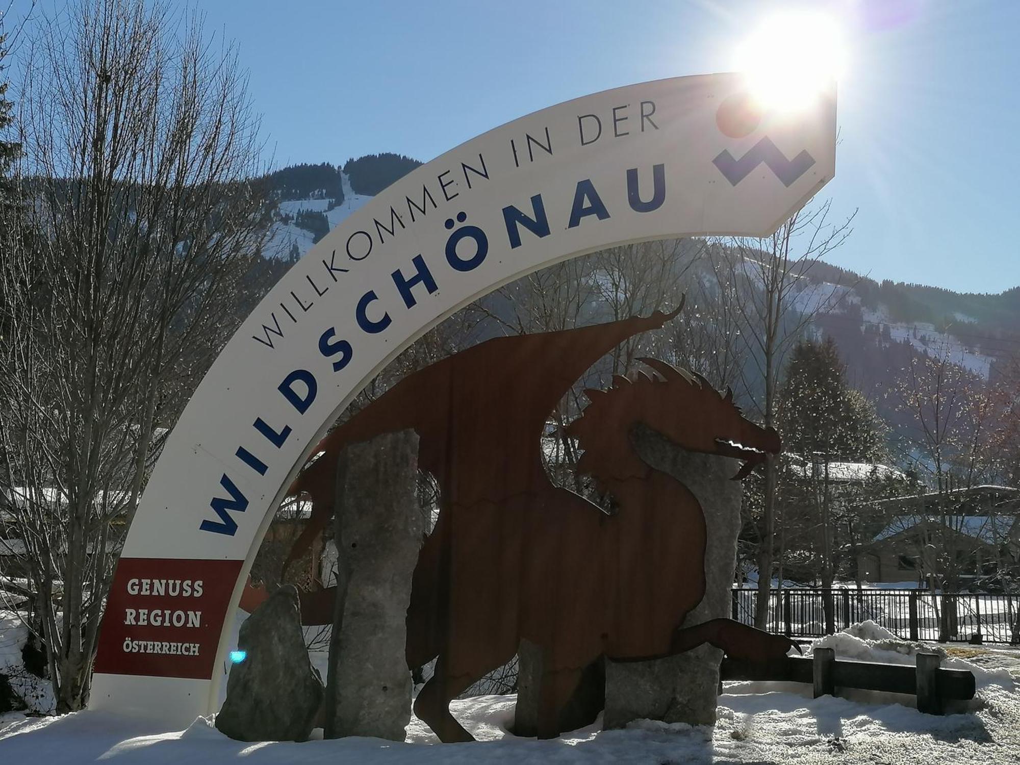 Christof,S Ferienwohnung Wild231 Оберау Екстер'єр фото